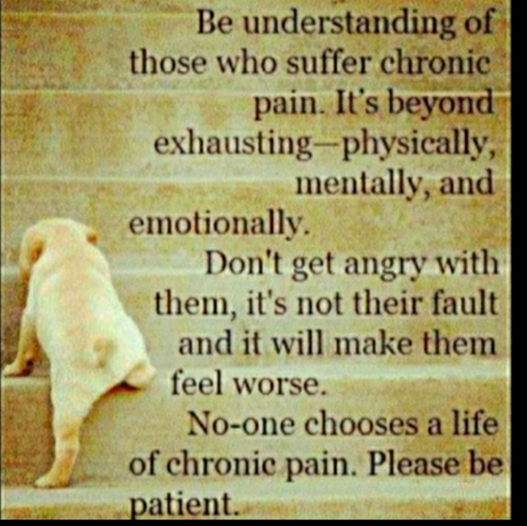 2 Piece Tracksuit Blue/White STEVE & BARRY’s  EUC - Picture 12 of 16